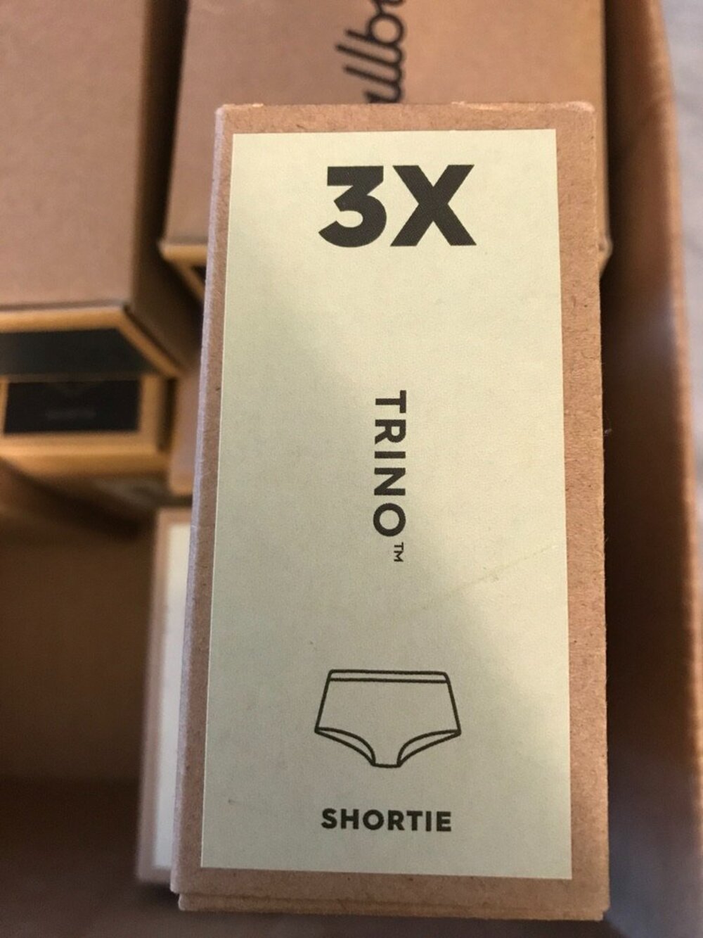 allbirds TRINO size 3X Women's Shortie Underwear in Aloe merino blend